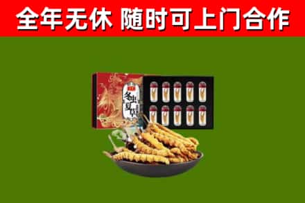 邹平市回收冬虫夏草价格